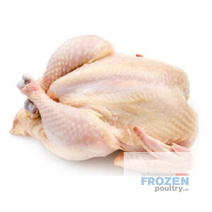 Whole Chicken Wholesale | Quality Frozen Whole Chickens Globally